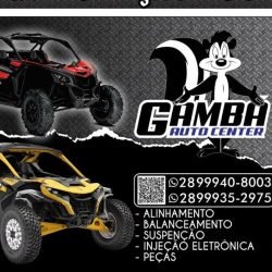 Gambá auto center vargem alta