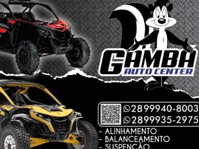 Gambá auto center vargem alta