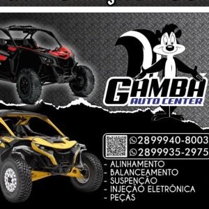 Gambá auto center vargem alta