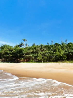 foto-04_4_11zon-1024x768 (2)