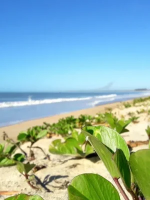 foto-03_3_11zon-1-1024x768 (2)