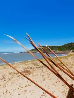 foto-06_6_11zon-1024x768 (4)